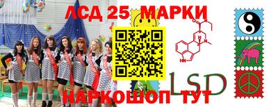 гидропоника Обь
