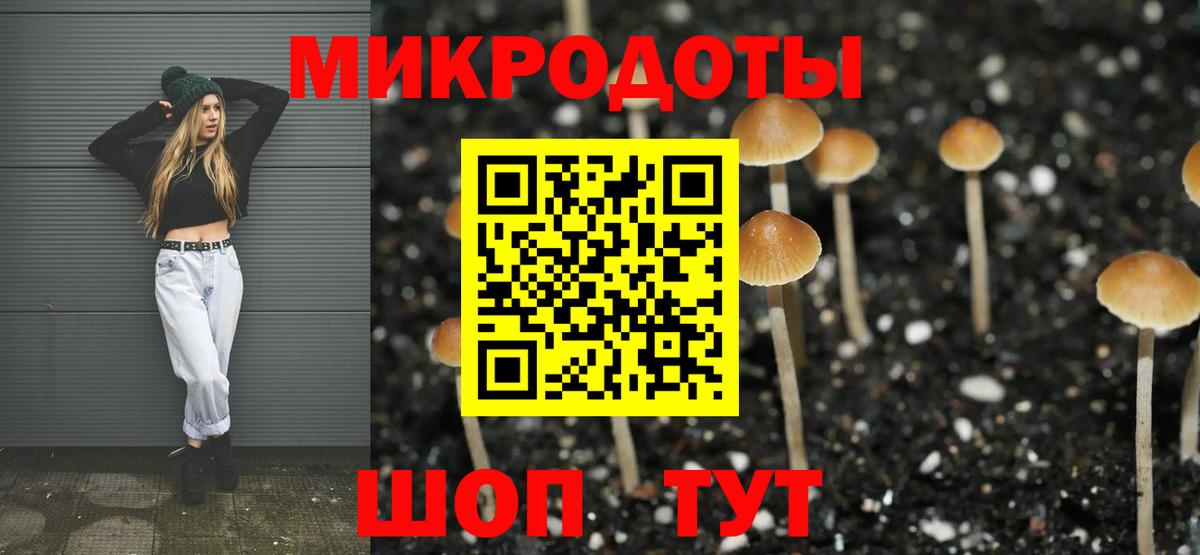 Среднеуральск  Галлюциногенные грибы GOLDEN TEACHER  Вход с VPN 