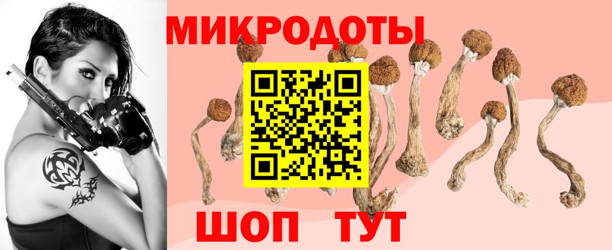 Галлюциногенные грибы Magic Shrooms Среднеуральск